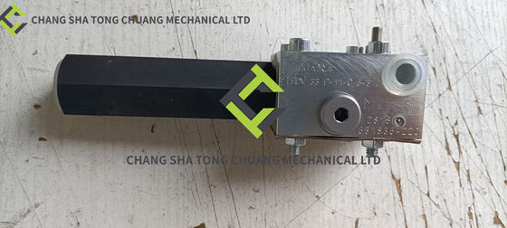 주문 줌리온 콘크리트 펌프 트럭 액세서리 균형 밸브 LHDV 33P-11-C6-210 online manufacture
